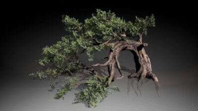 یونیتی نسخه SpeedTree 10 را منتشر کرد