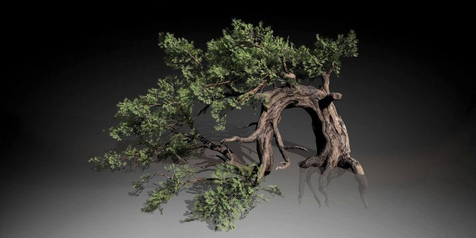 یونیتی نسخه SpeedTree 10 را منتشر کرد